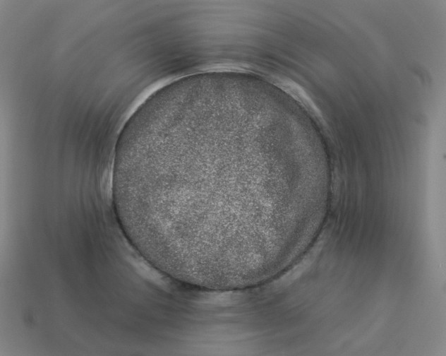 X0000113261228200910081333