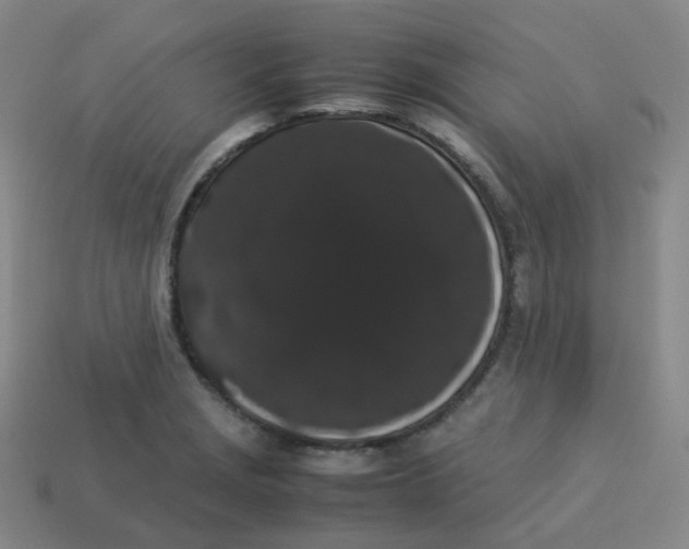 X0000113261229200910081333