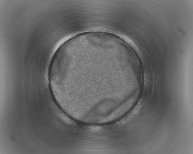 X0000113261230200910081333