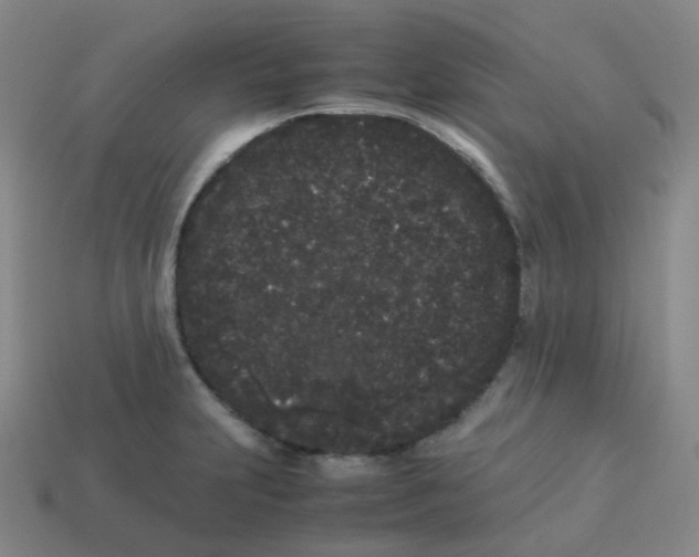 X0000113261231200910081333