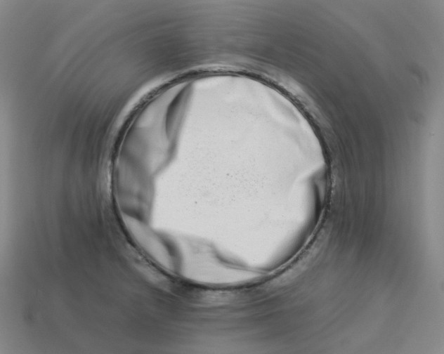 X0000113261232200910081333