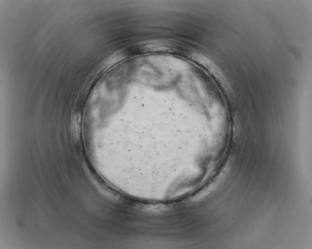 X0000113261233200910081333