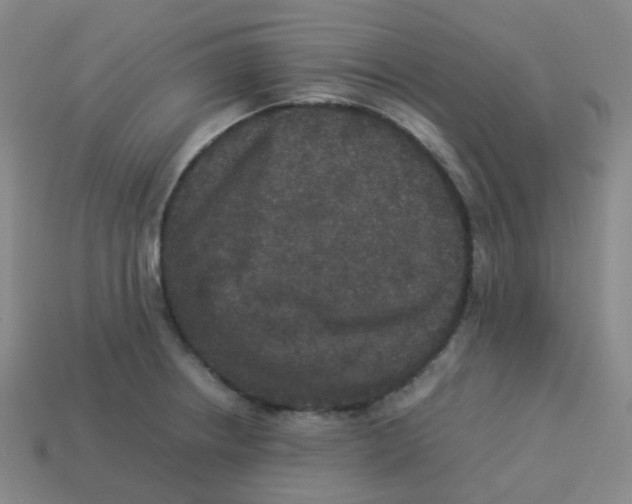 X0000113261234200910081333