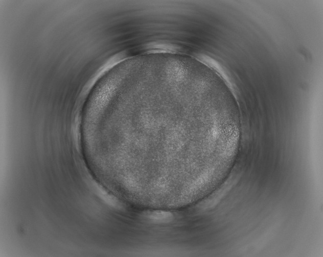 X0000113261235200910081333