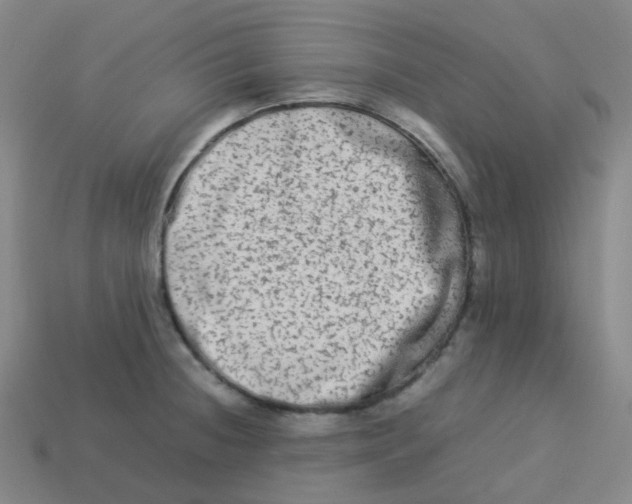 X0000113261236200910081333