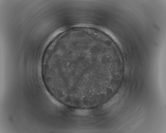 X0000113261237200910081333