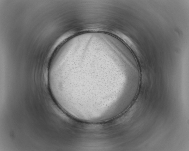 X0000113261238200910081333
