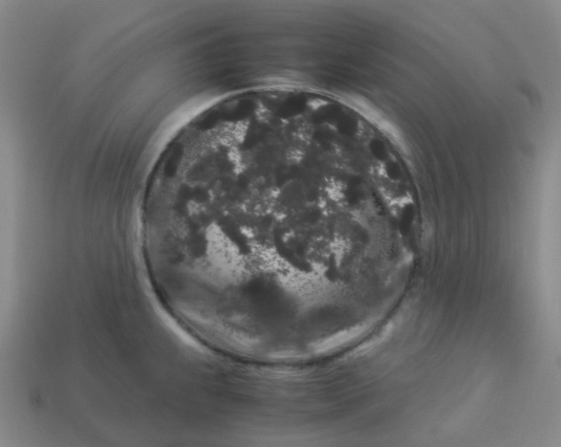 X0000113261239200910081333