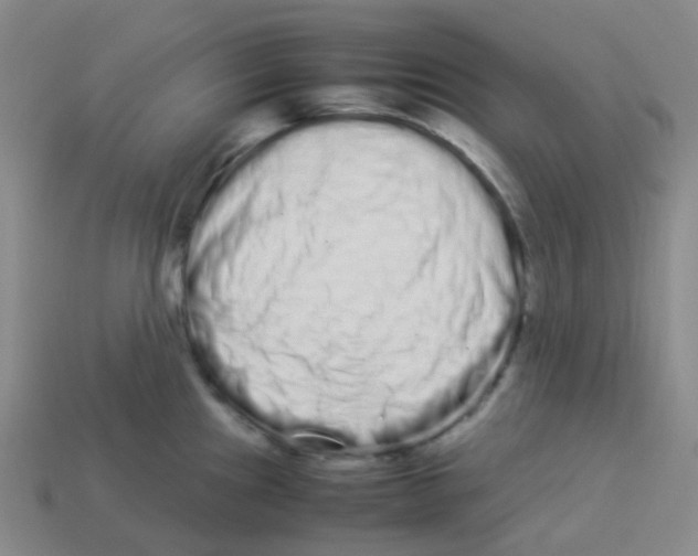 X0000113261241200910081333