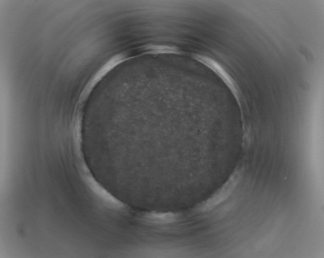 X0000113261243200910081333