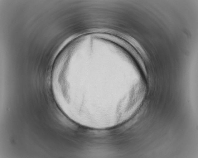X0000113261244200910081333