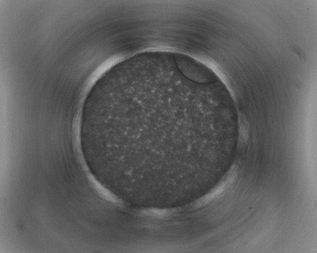 X0000113261245200910081333