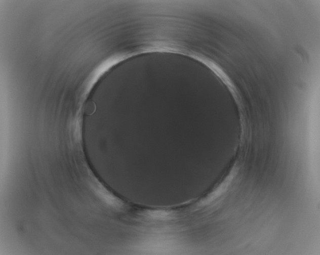X0000113261246200910081333