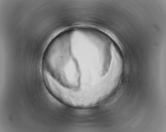 X0000113261247200910081333