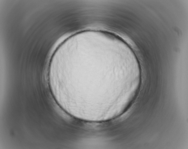 X0000113261248200910081333