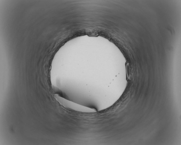 X0000113261249200910081332