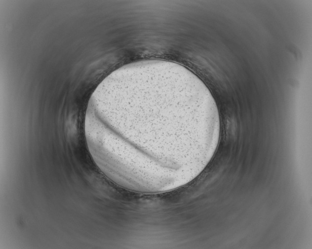 X0000113261250200910081332