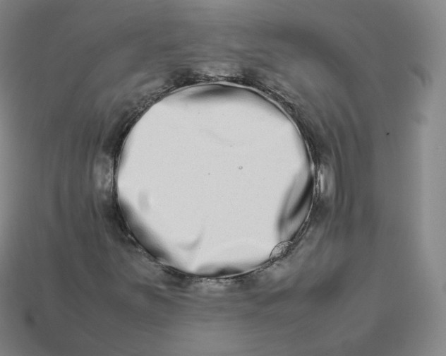 X0000113261251200910081332