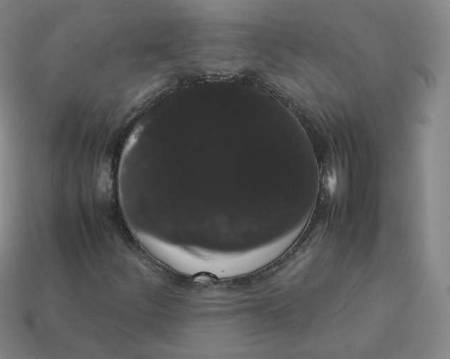 X0000113261252200910081332
