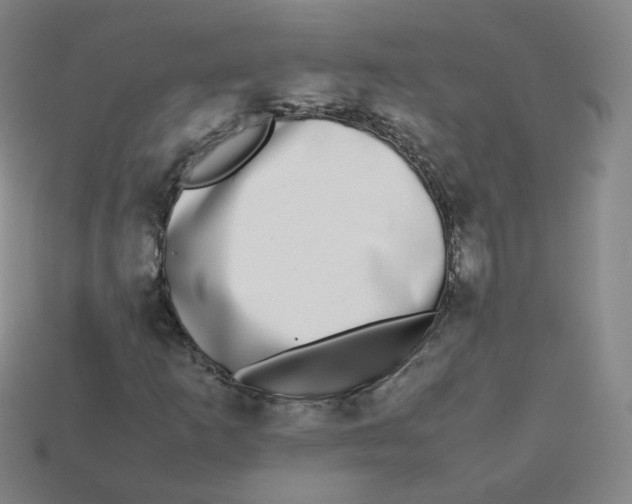 X0000113261253200910081332