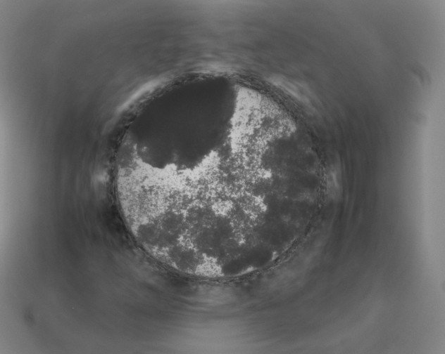 X0000113261254200910081332