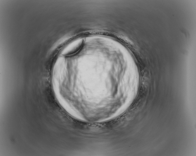 X0000113261255200910081332