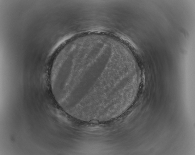 X0000113261256200910081332