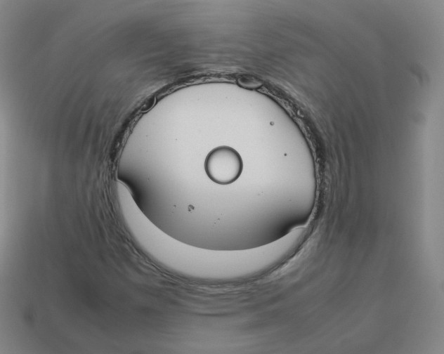 X0000113261257200910081332