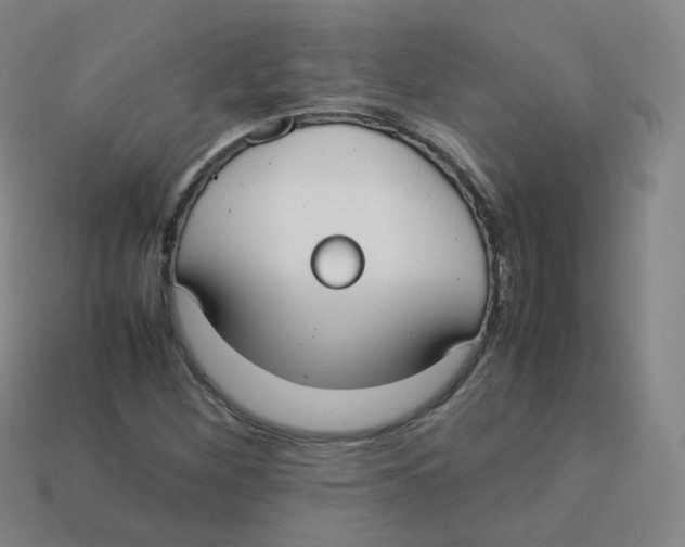X0000113261260200910081332