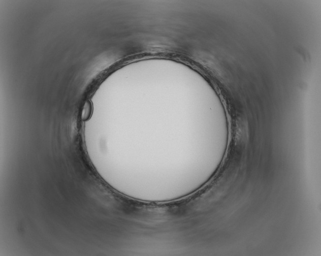 X0000113261261200910081332