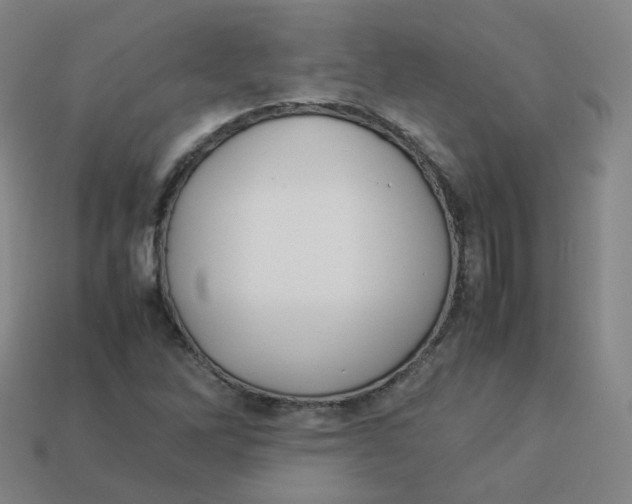 X0000113261262200910081332