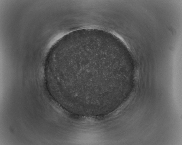 X0000113261263200910081332