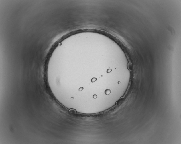 X0000113261264200910081332