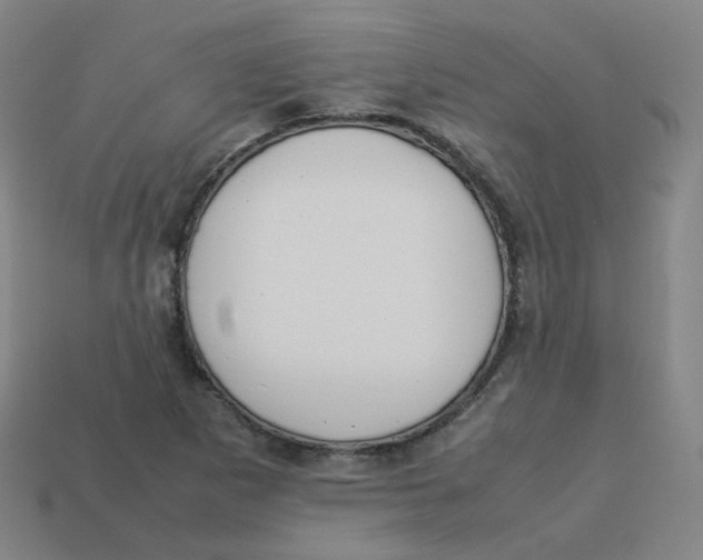 X0000113261265200910081332