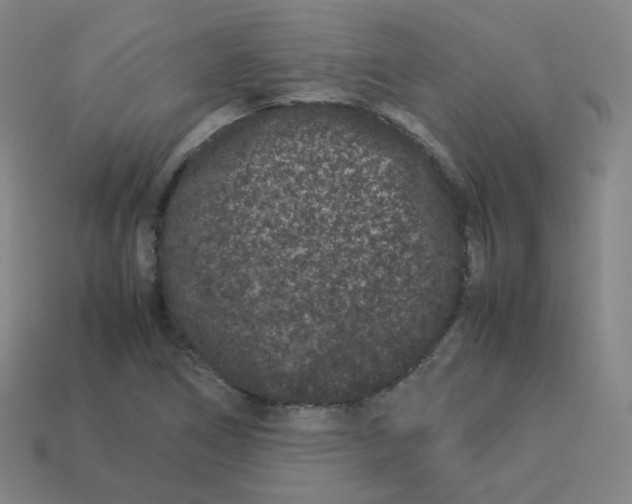 X0000113261266200910081332