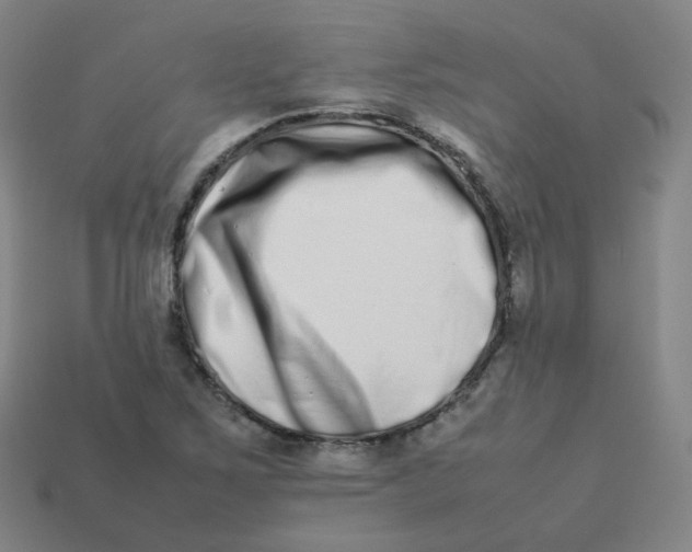 X0000113261267200910081332