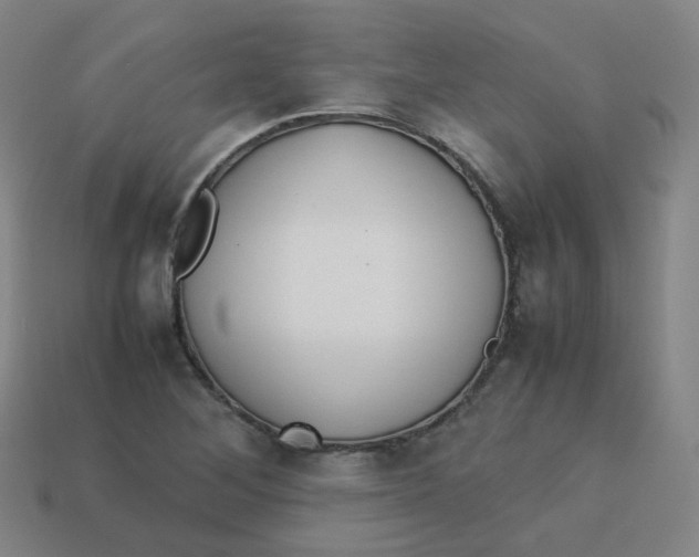 X0000113261268200910081332