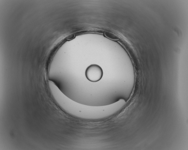 X0000113261269200910081332