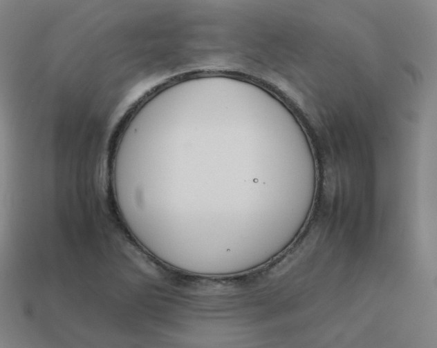 X0000113261270200910081332