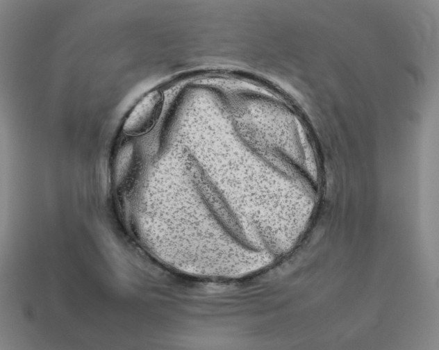 X0000113261271200910081332