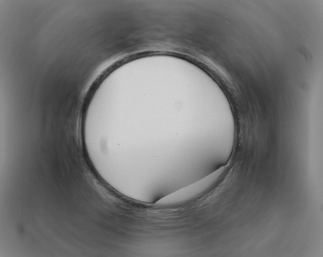 X0000113261272200910081332