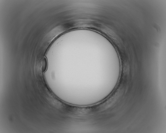 X0000113261273200910081332