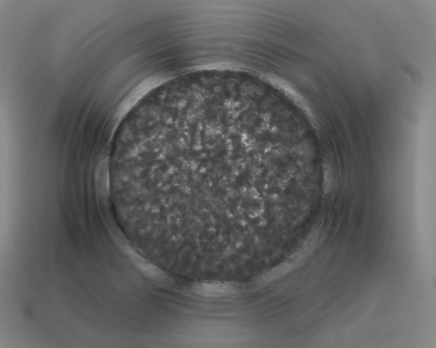 X0000113261274200910081332