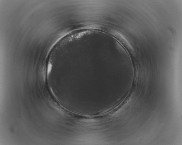 X0000113261276200910081332