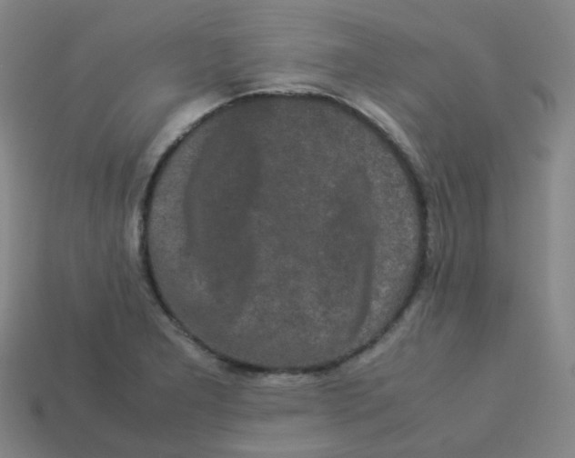 X0000113261277200910081332