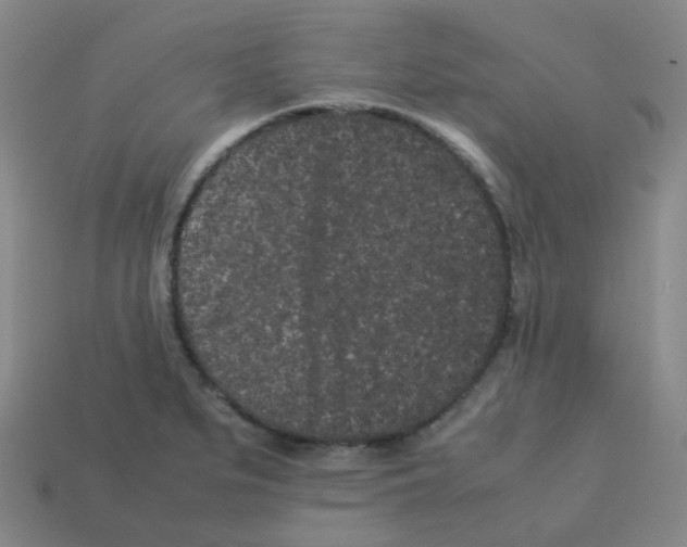 X0000113261279200910081332