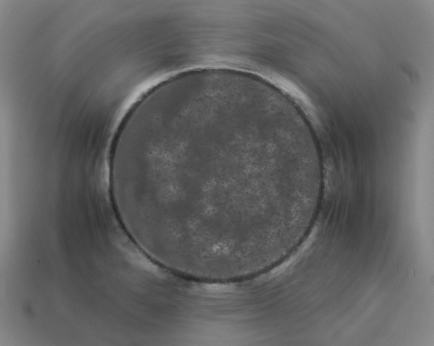 X0000113261280200910081332