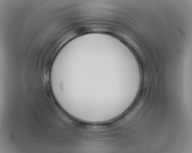 X0000113261281200910081332