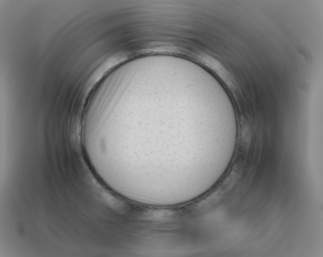 X0000113261282200910081332