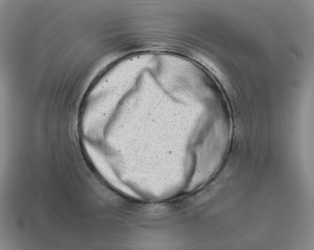 X0000113261283200910081332